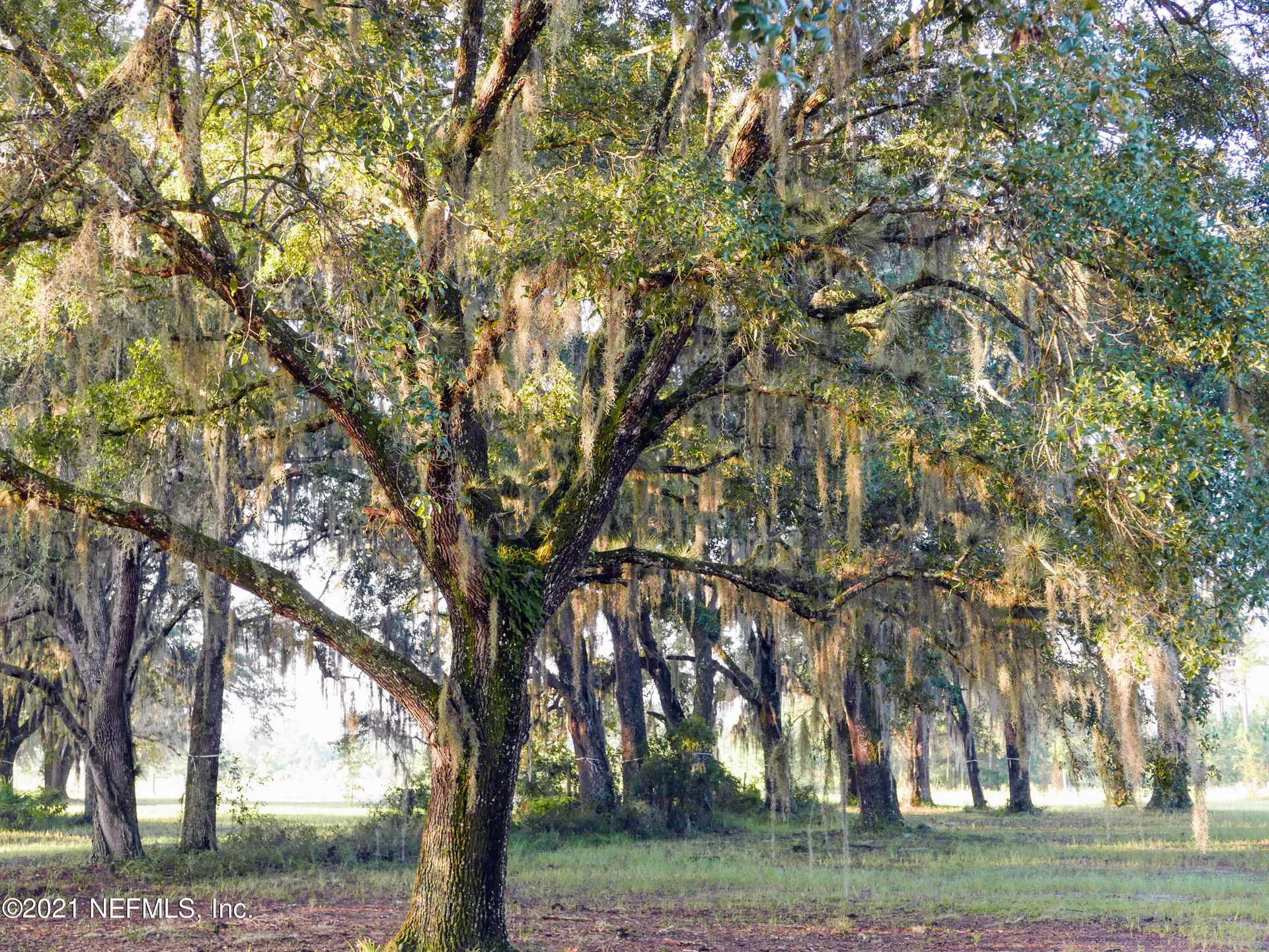 708 Farmfield Drive St. Augustine FL 32092