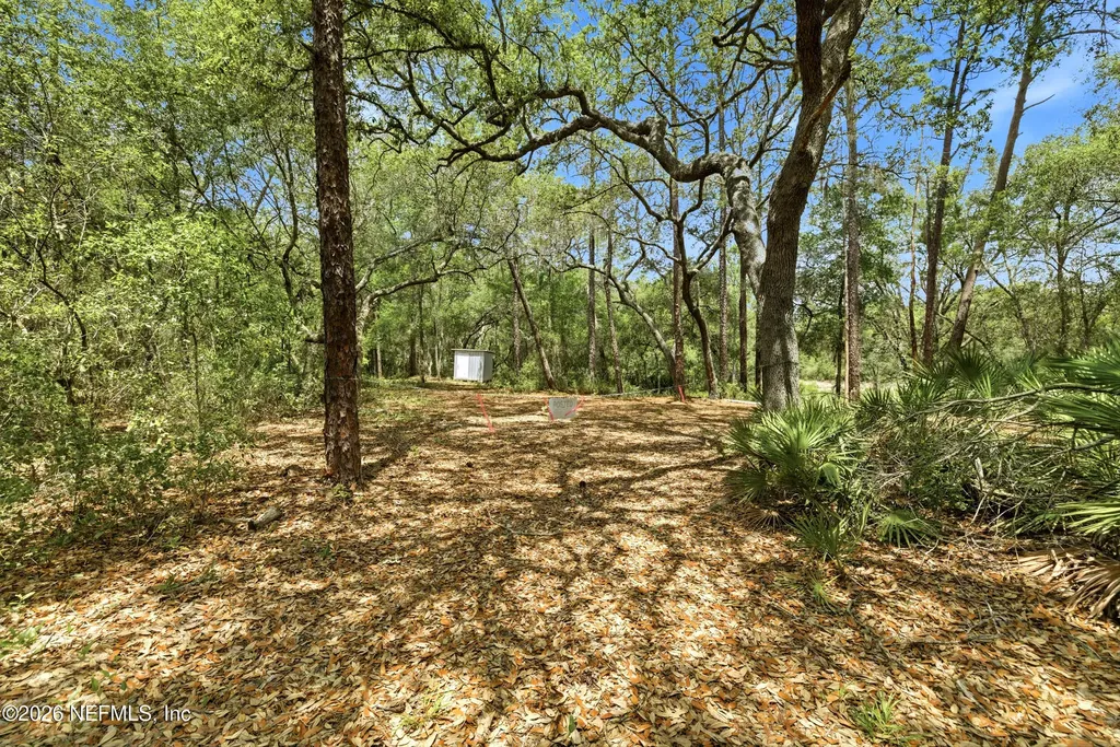 0 NE 115 Avenue Fort Mccoy FL 32134