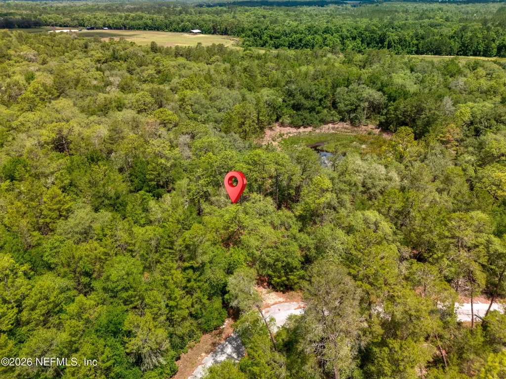 0 NE 115 Avenue Fort Mccoy FL 32134
