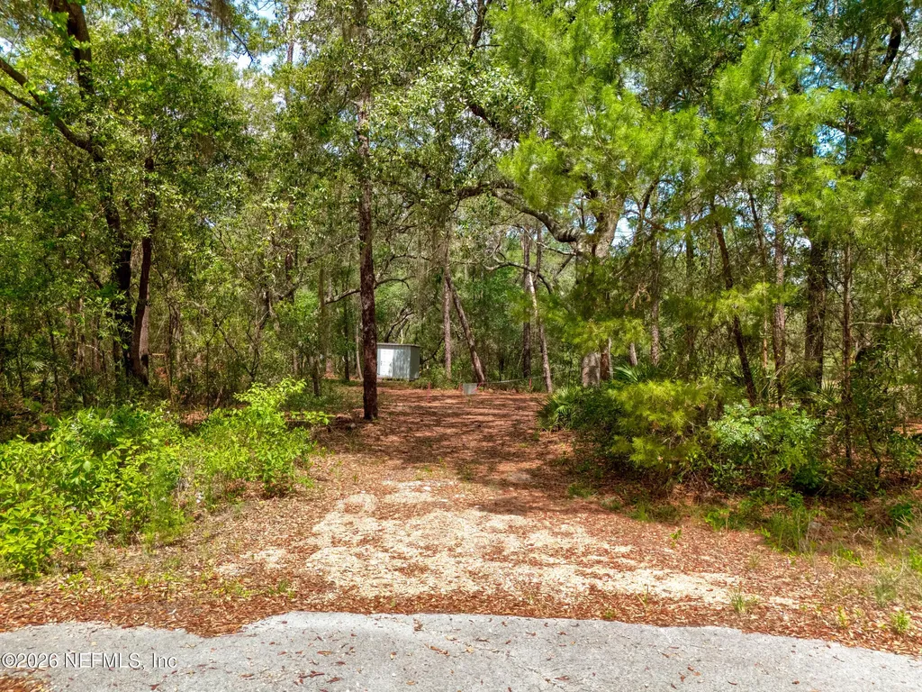 0 NE 115 Avenue Fort Mccoy FL 32134