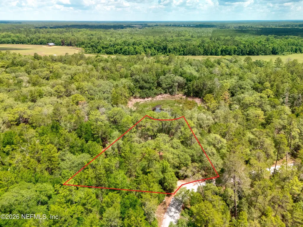0 NE 115 Avenue Fort Mccoy FL 32134