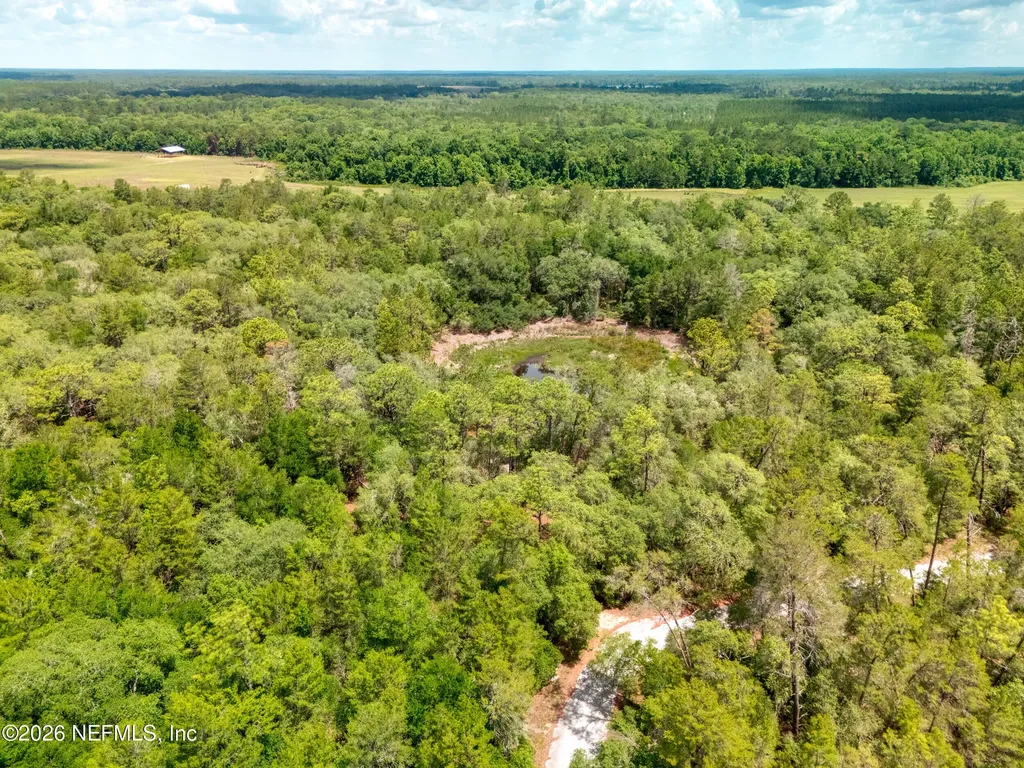 0 NE 115 Avenue Fort Mccoy FL 32134
