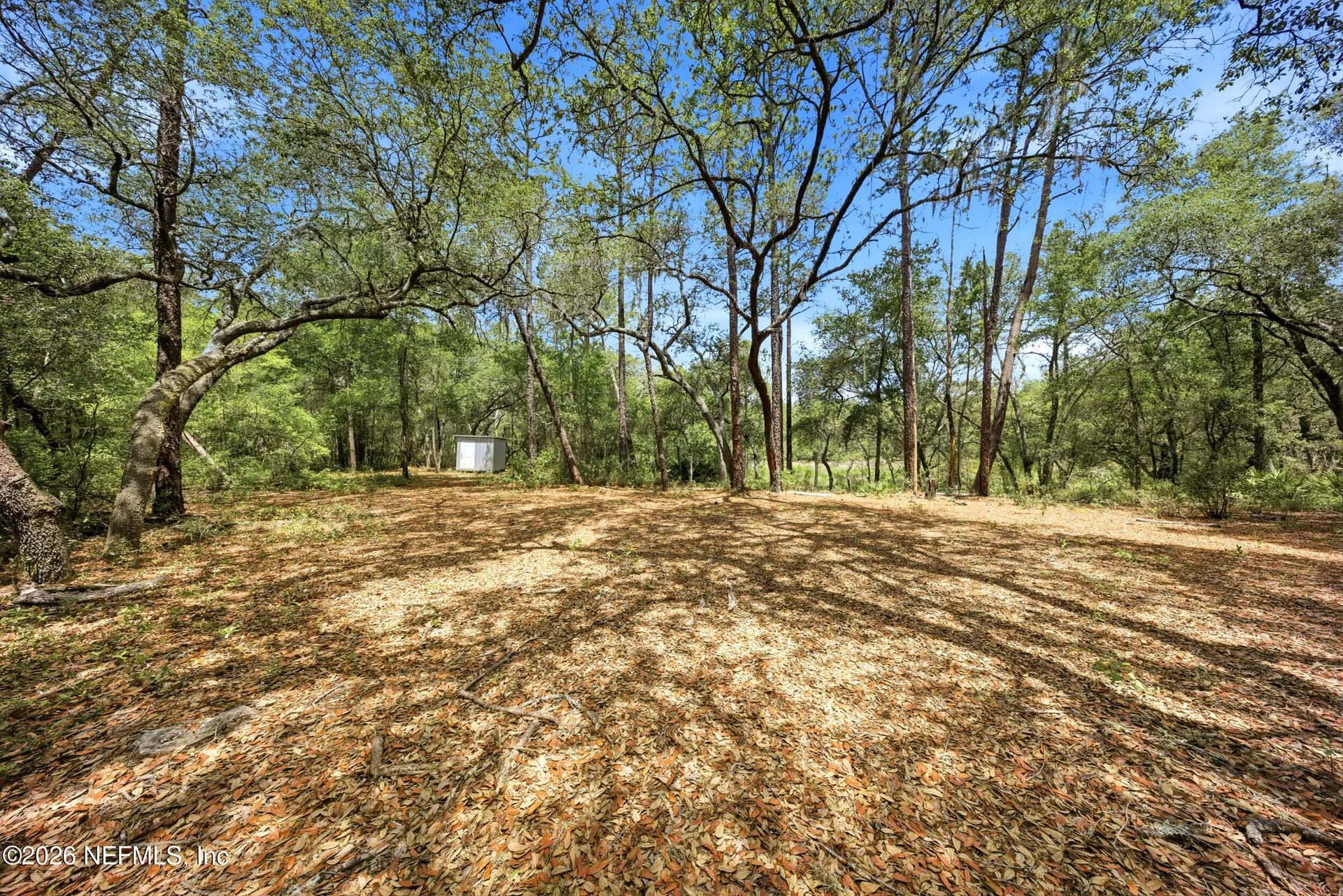 0 NE 115 Avenue Fort Mccoy FL 32134
