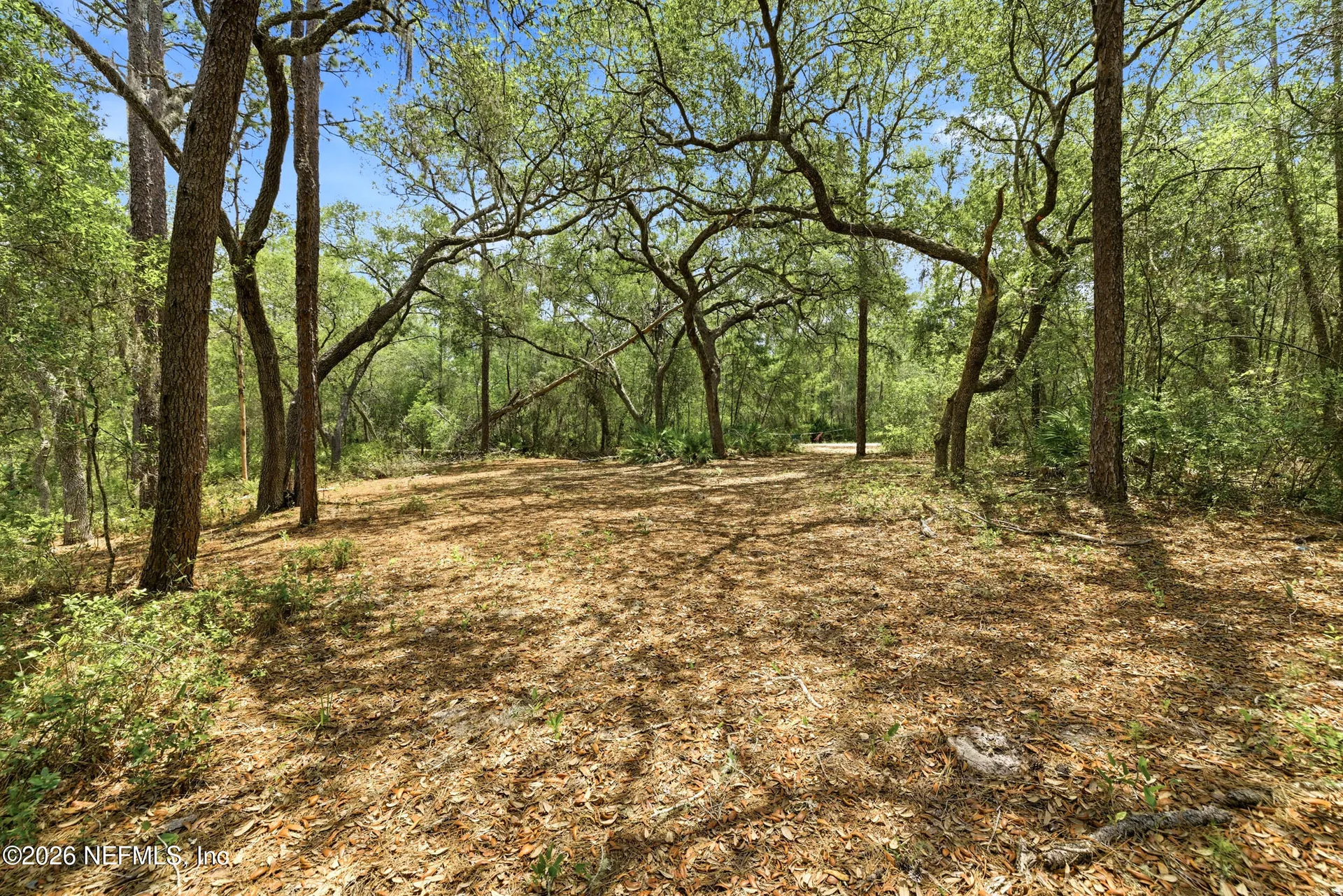 0 NE 115 Avenue Fort Mccoy FL 32134