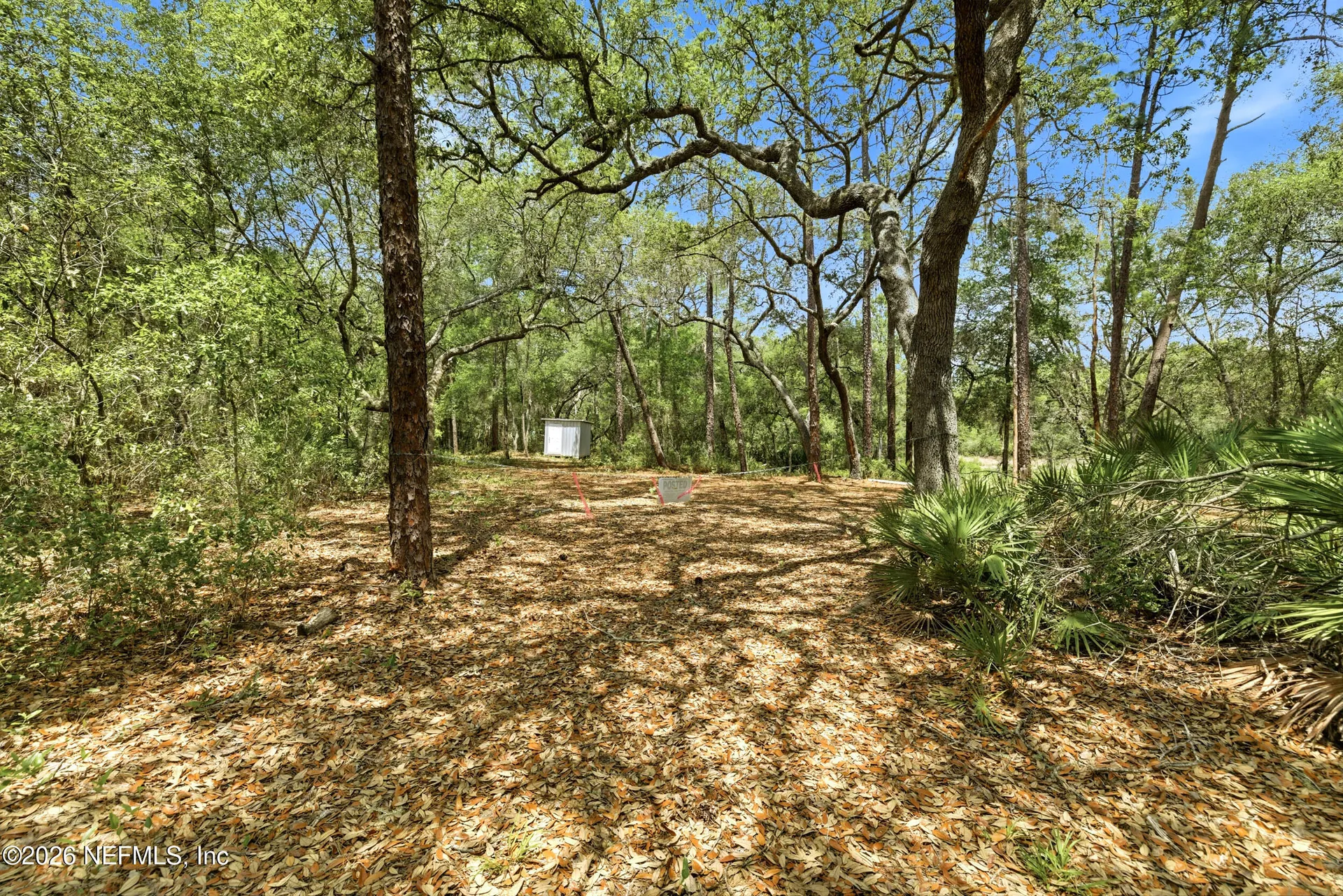 0 NE 115 Avenue Fort Mccoy FL 32134
