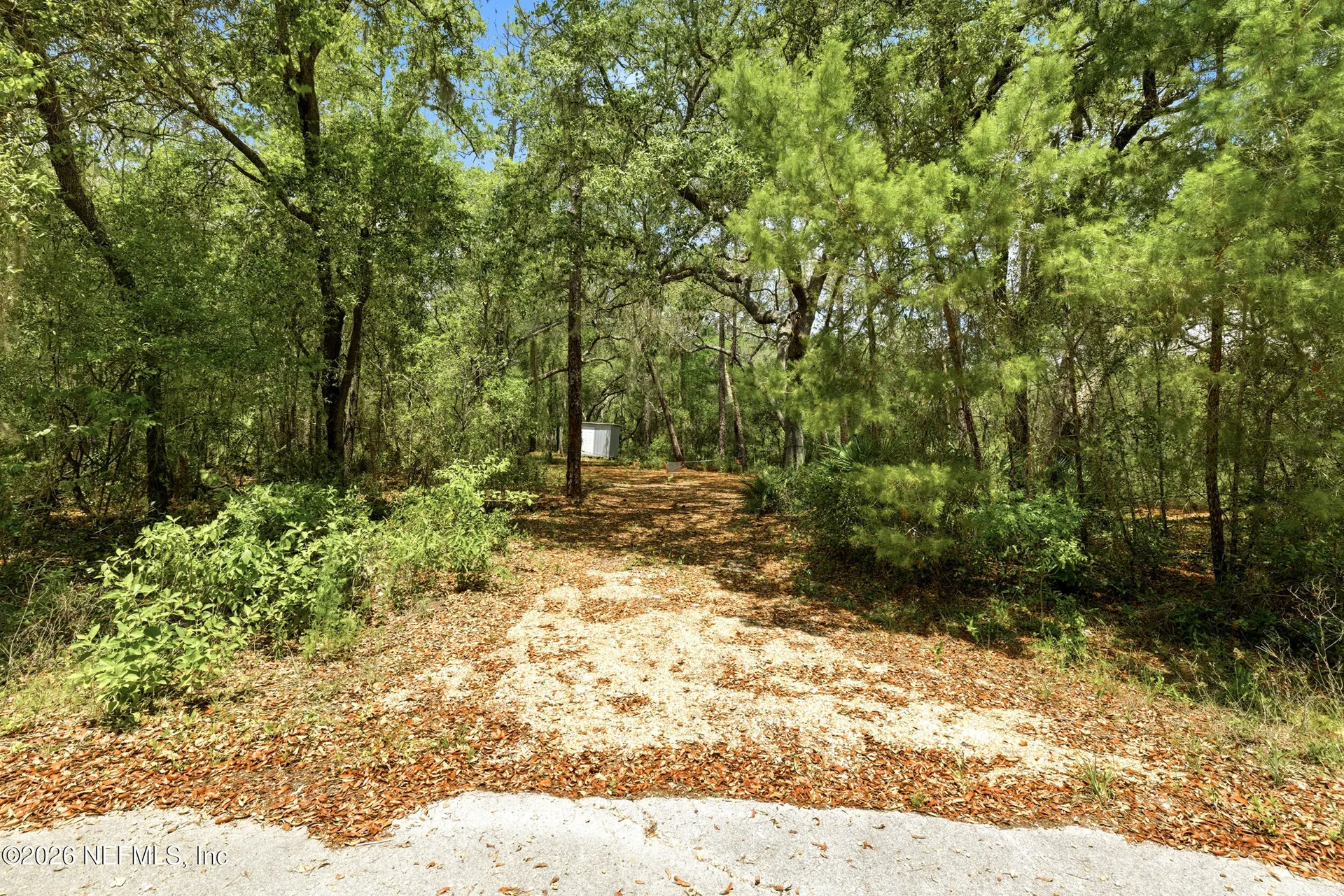 0 NE 115 Avenue Fort Mccoy FL 32134