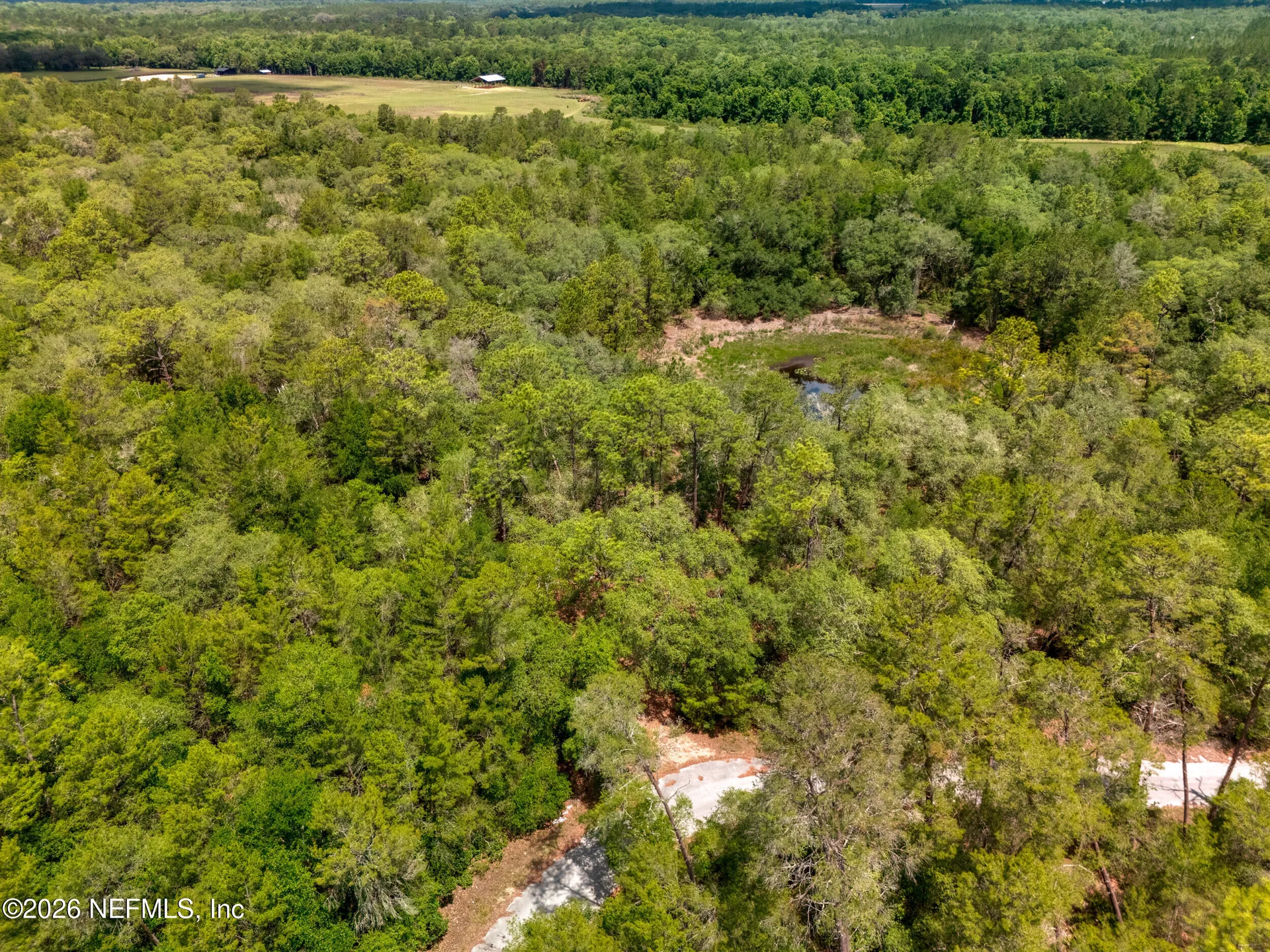 0 NE 115 Avenue Fort Mccoy FL 32134