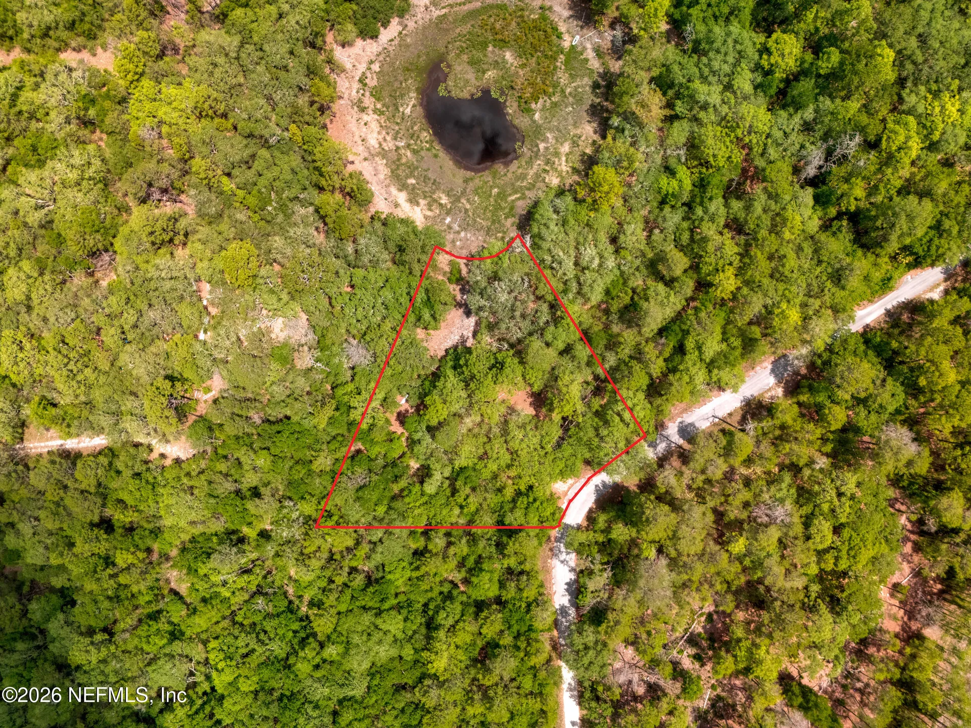 0 NE 115 Avenue Fort Mccoy FL 32134