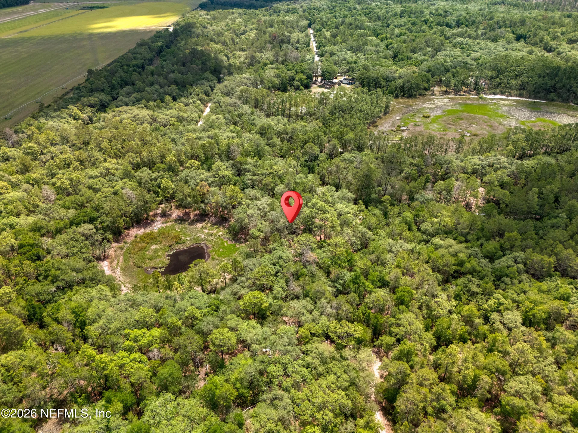 0 NE 115 Avenue Fort Mccoy FL 32134