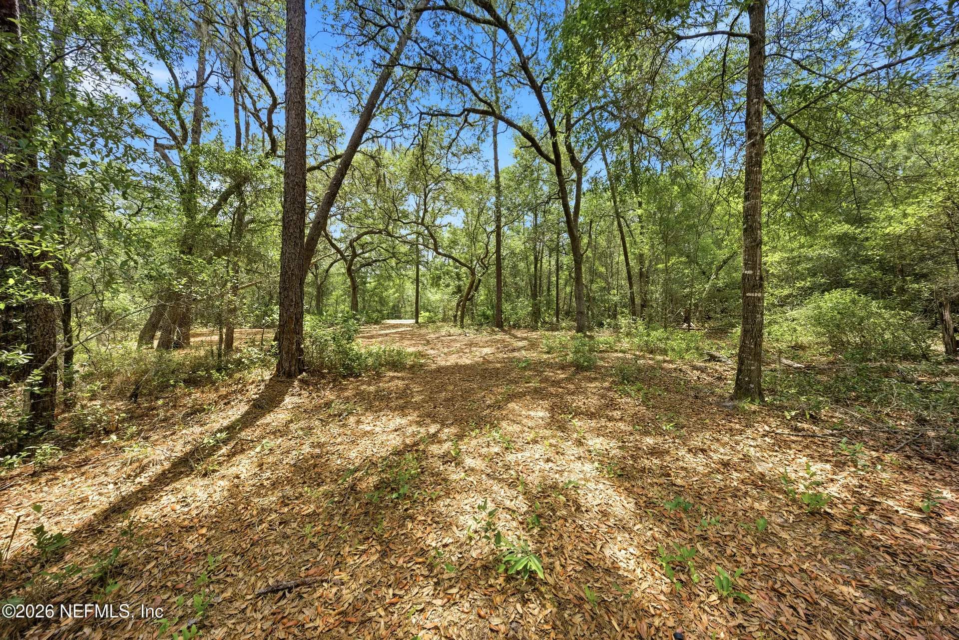 0 NE 115 Avenue Fort Mccoy FL 32134