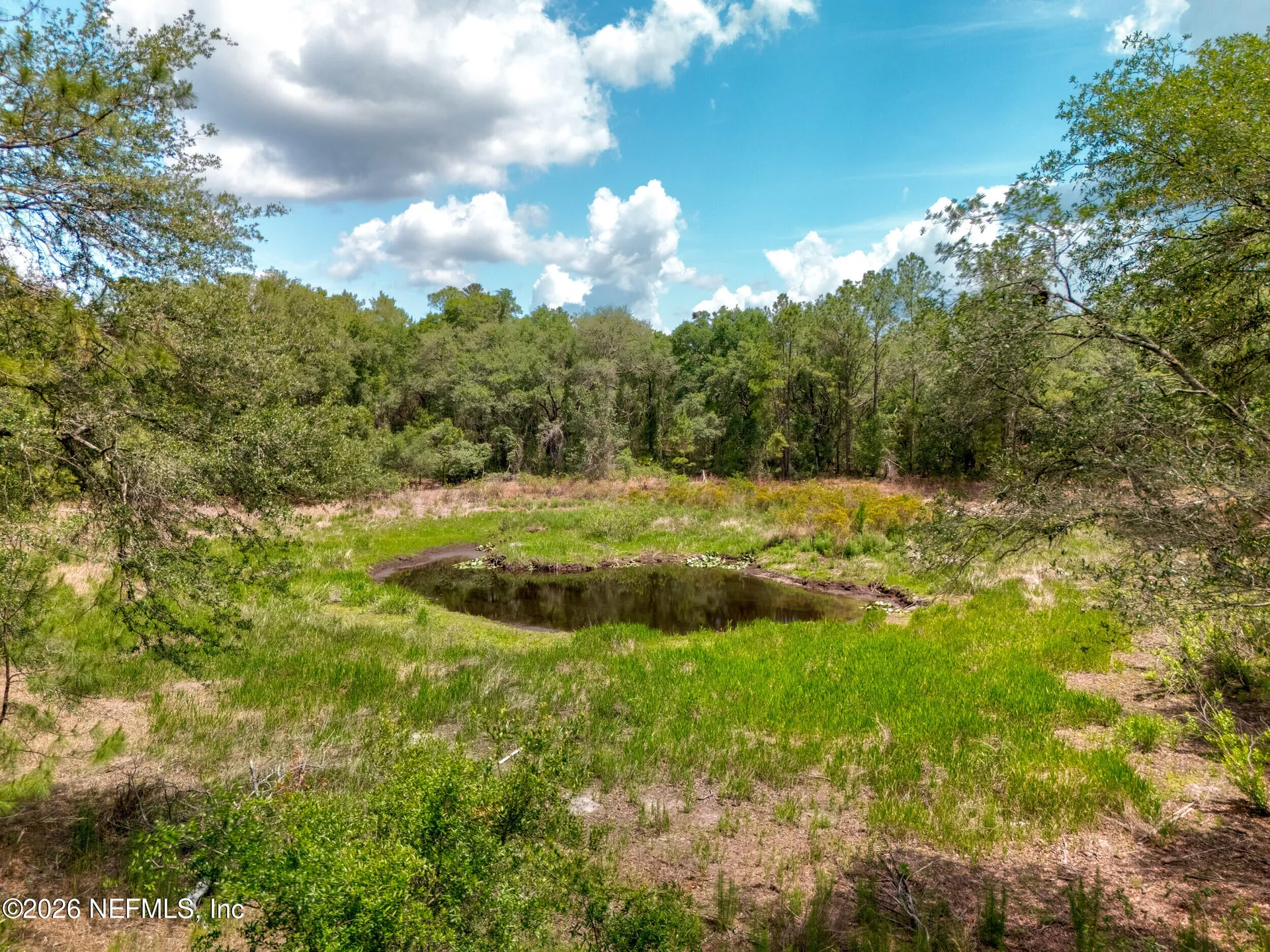 0 NE 115 Avenue Fort Mccoy FL 32134