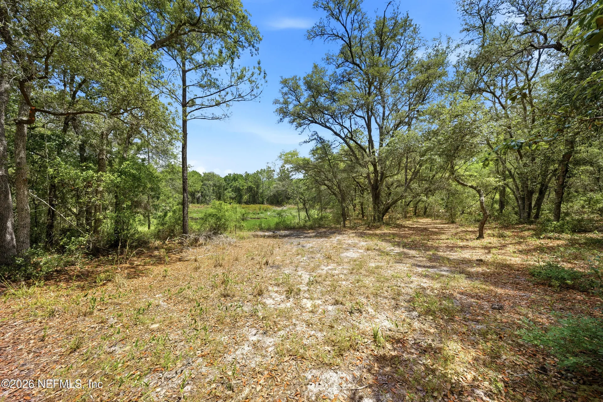 0 NE 115 Avenue Fort Mccoy FL 32134
