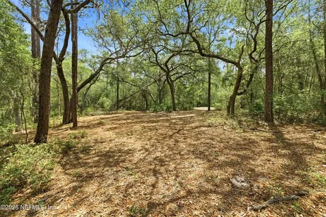 0 NE 115 Avenue Fort Mccoy FL 32134