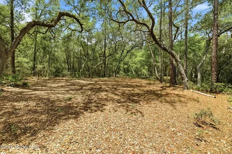 0 NE 115 Avenue Fort Mccoy FL 32134