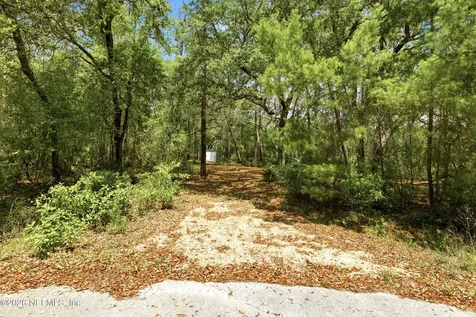 0 NE 115 Avenue Fort Mccoy FL 32134