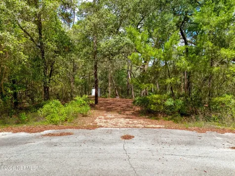 0 NE 115 Avenue Fort Mccoy FL 32134