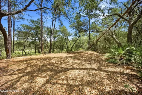 0 NE 115 Avenue Fort Mccoy FL 32134