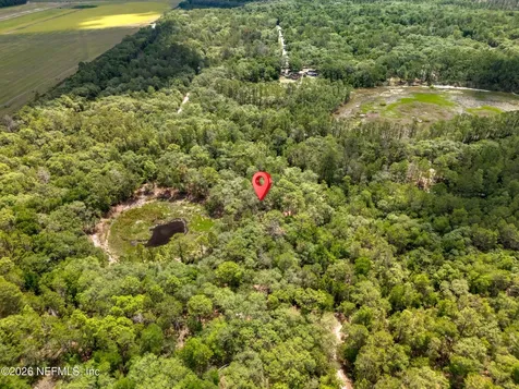 0 NE 115 Avenue Fort Mccoy FL 32134
