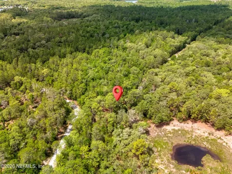 0 NE 115 Avenue Fort Mccoy FL 32134