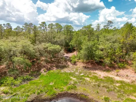 0 NE 115 Avenue Fort Mccoy FL 32134