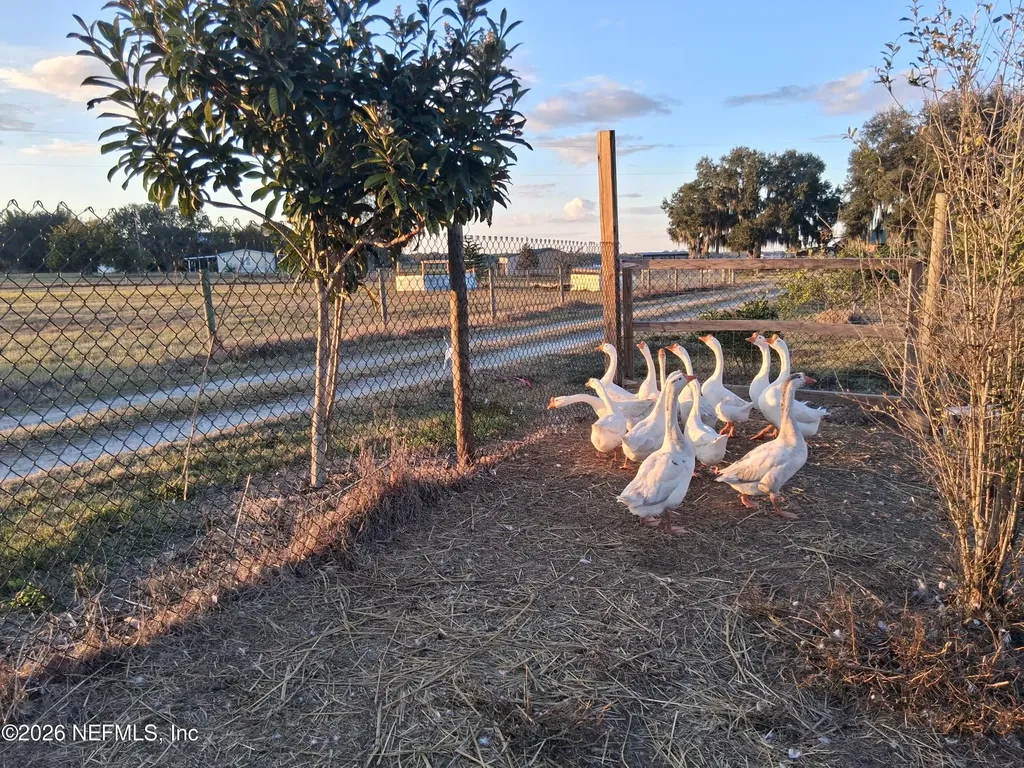 1302 Fort Meade Road Frostproof FL 33843