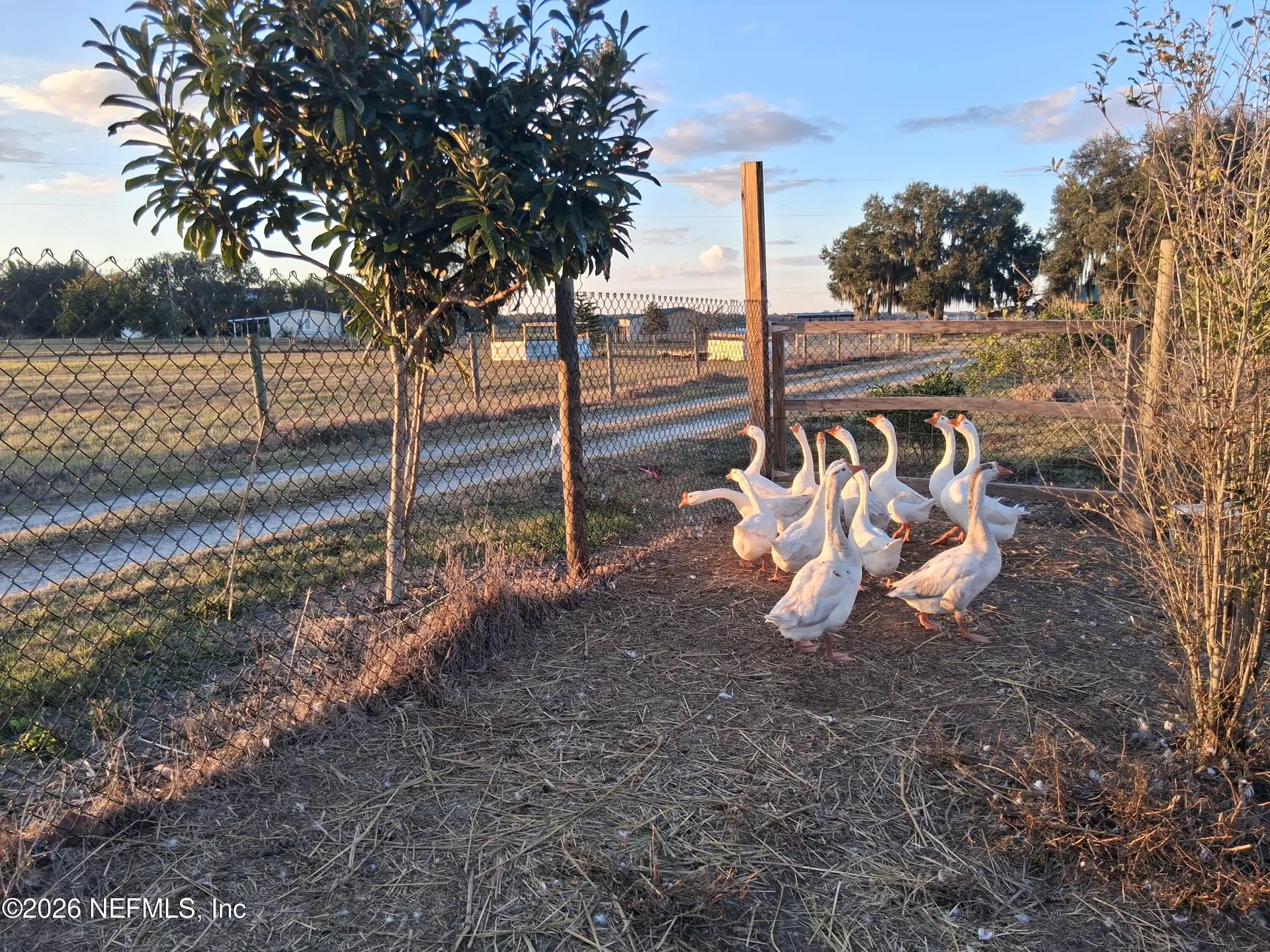 1302 Fort Meade Road Frostproof FL 33843