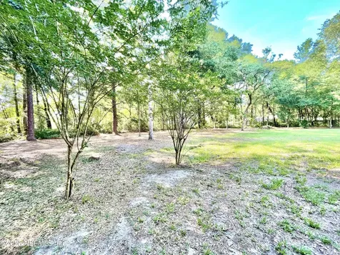 4583 Alligator Boulevard Middleburg FL 32068
