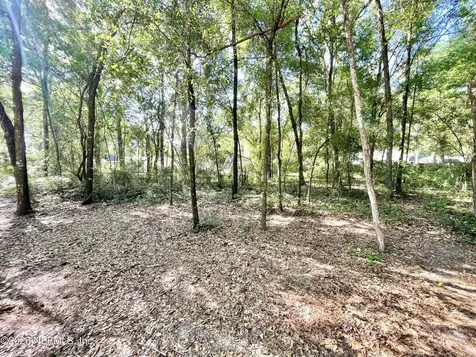 4583 Alligator Boulevard Middleburg FL 32068