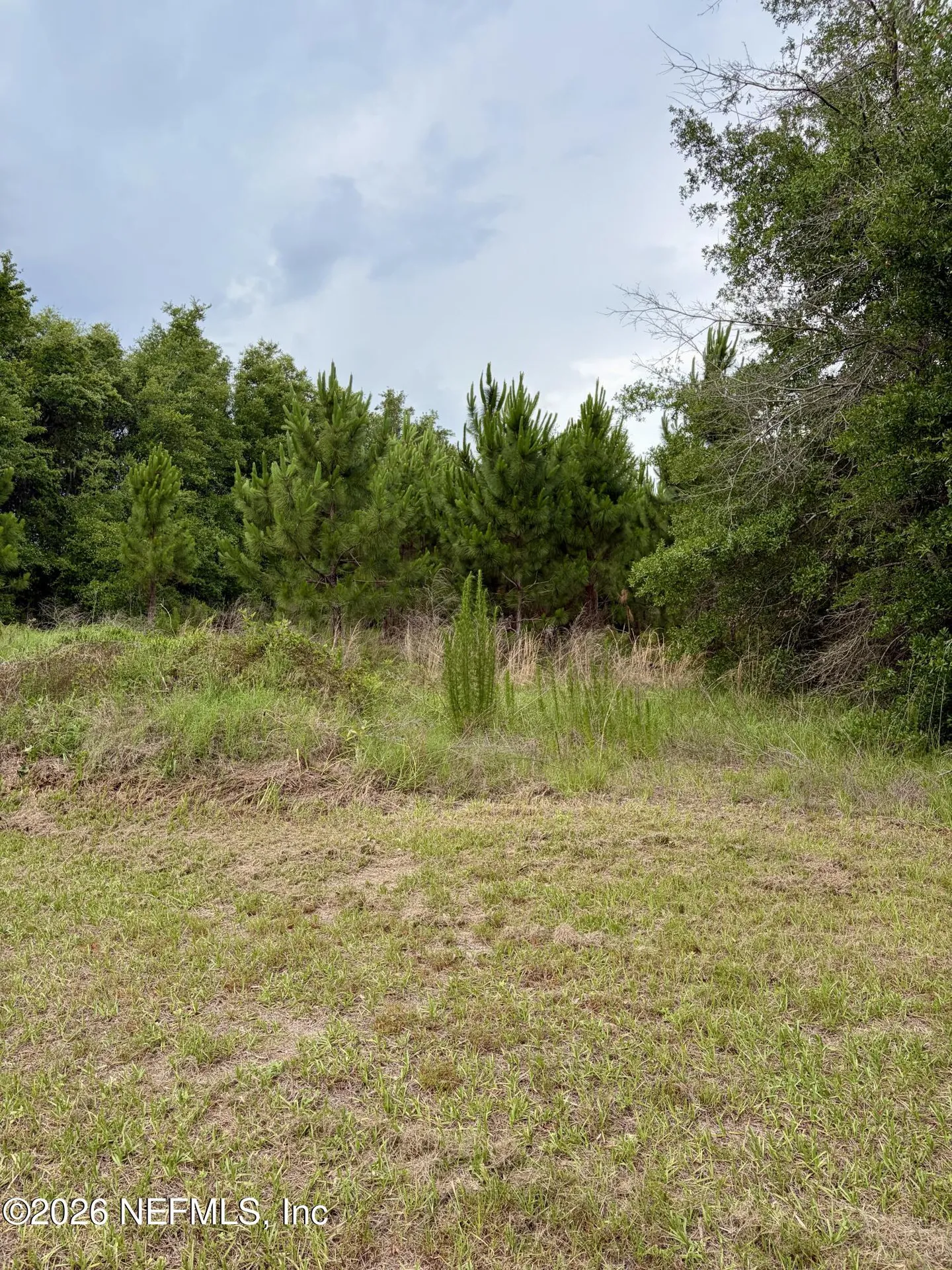 941222 Old Nassauville Road Fernandina Beach FL 32034