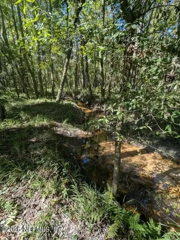 1708 NW 230th Place Brooker FL 32622