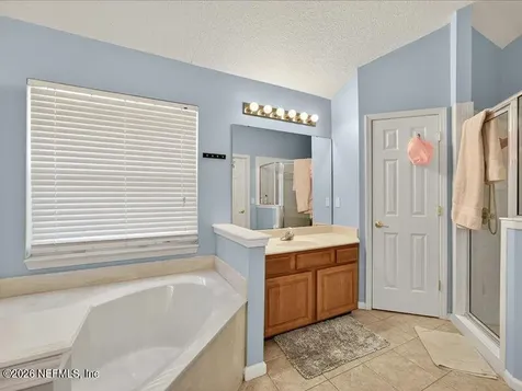 3204 Wandering Oaks Drive Orange Park FL 32065