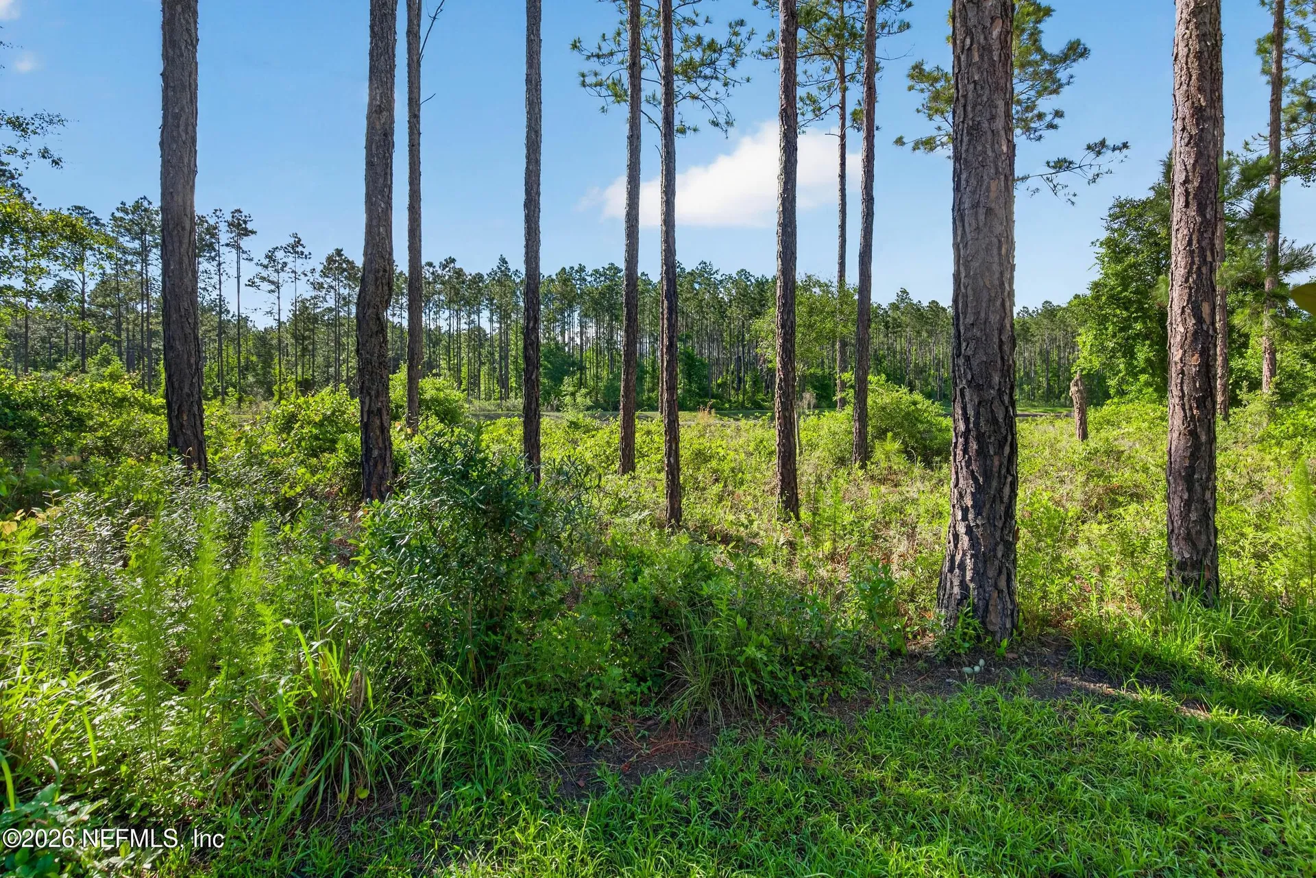 40 Barley Street St. Augustine FL 32092