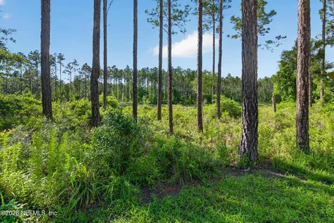 40 Barley Street St. Augustine FL 32092