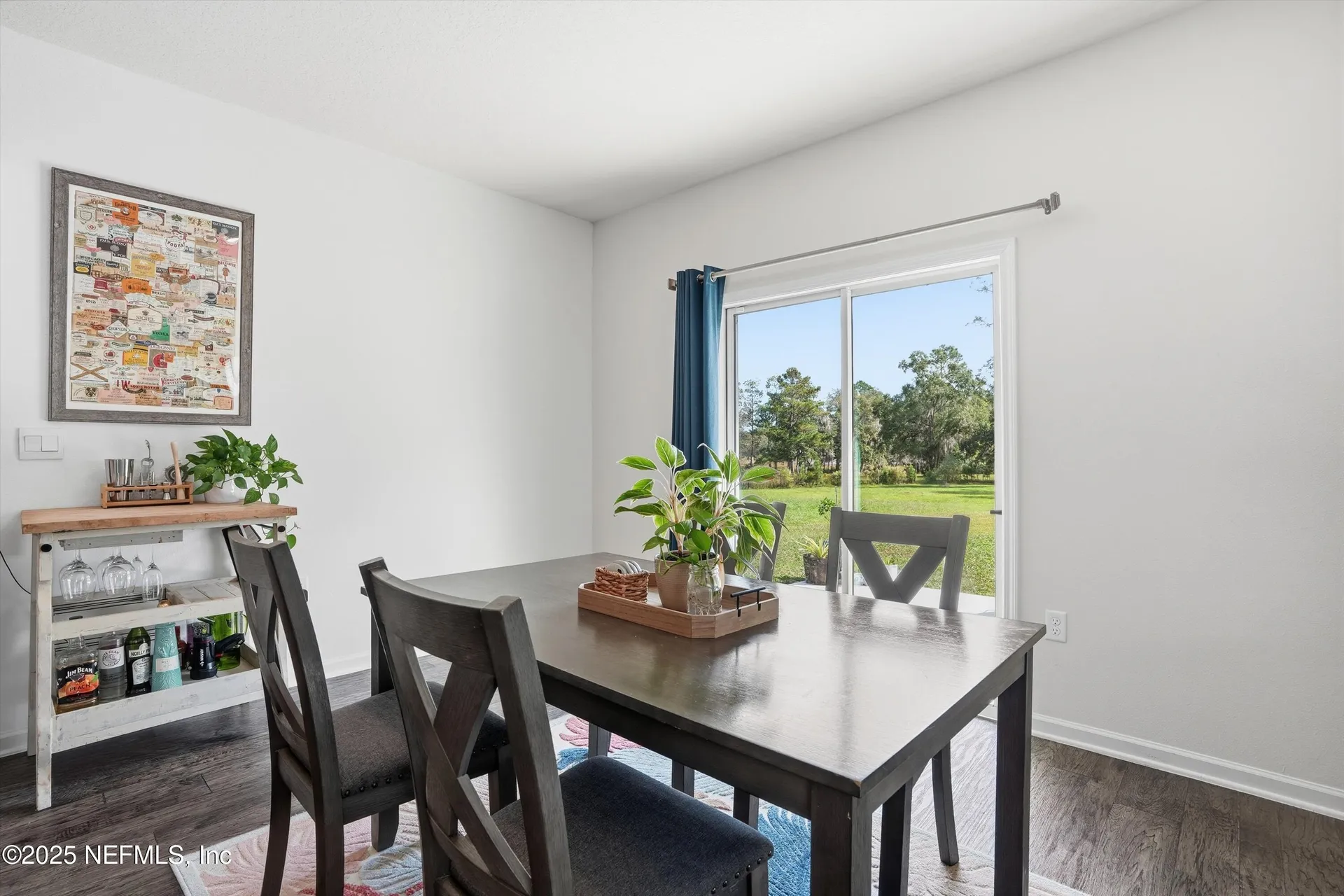 2660 Oak Stream Drive Green Cove Springs FL 32043