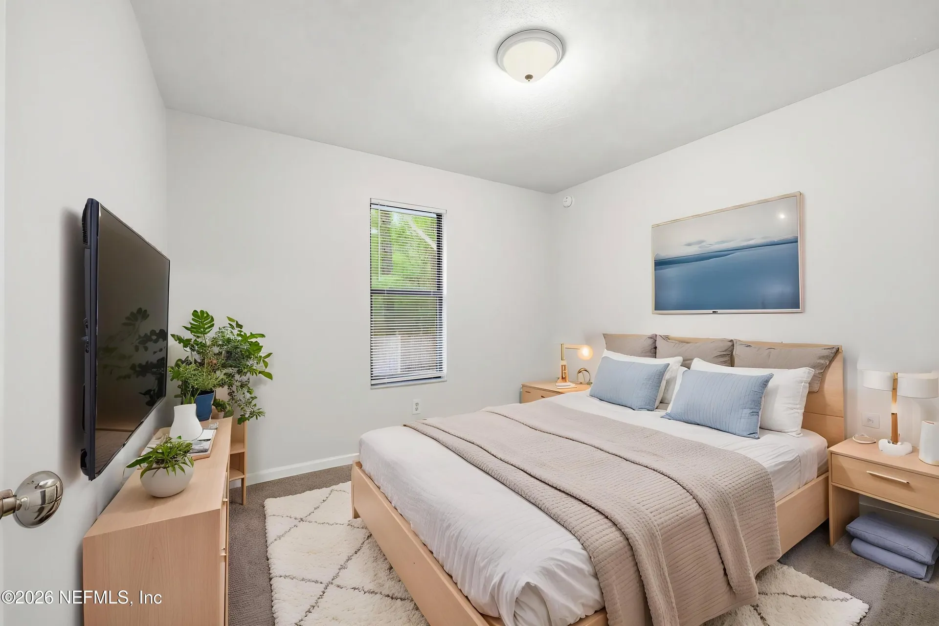 3234 Dowitcher Lane Orange Park FL 32065