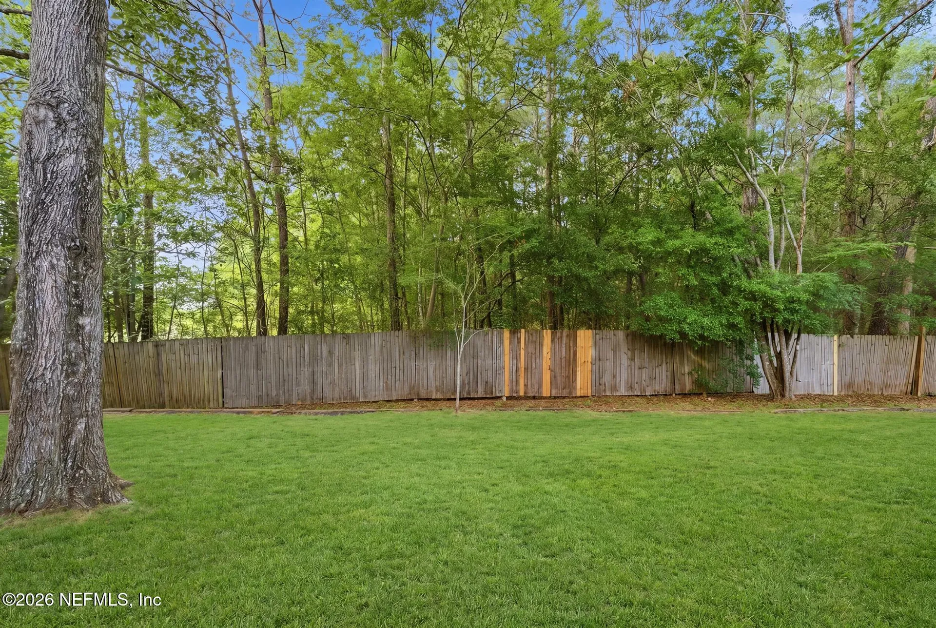 3234 Dowitcher Lane Orange Park FL 32065