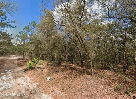 106 SE 9th Street Interlachen FL 32148