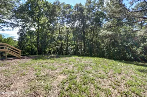 167 Peppermint Avenue Middleburg FL 32068