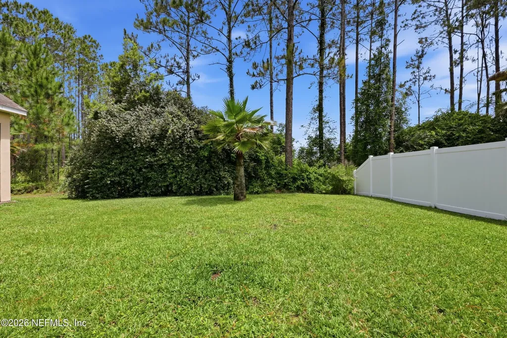 732 Briar View Drive Orange Park FL 32065