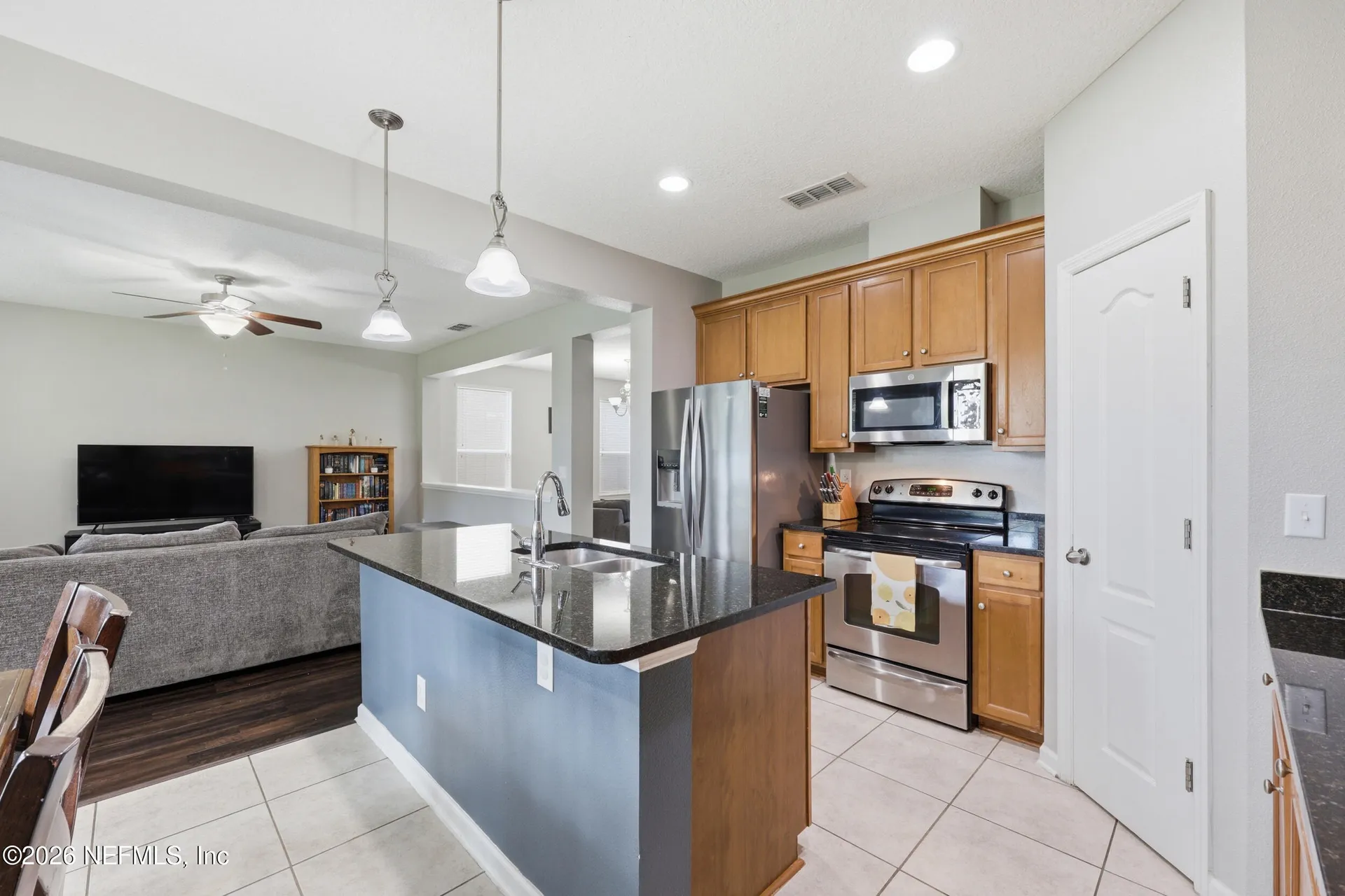 732 Briar View Drive Orange Park FL 32065