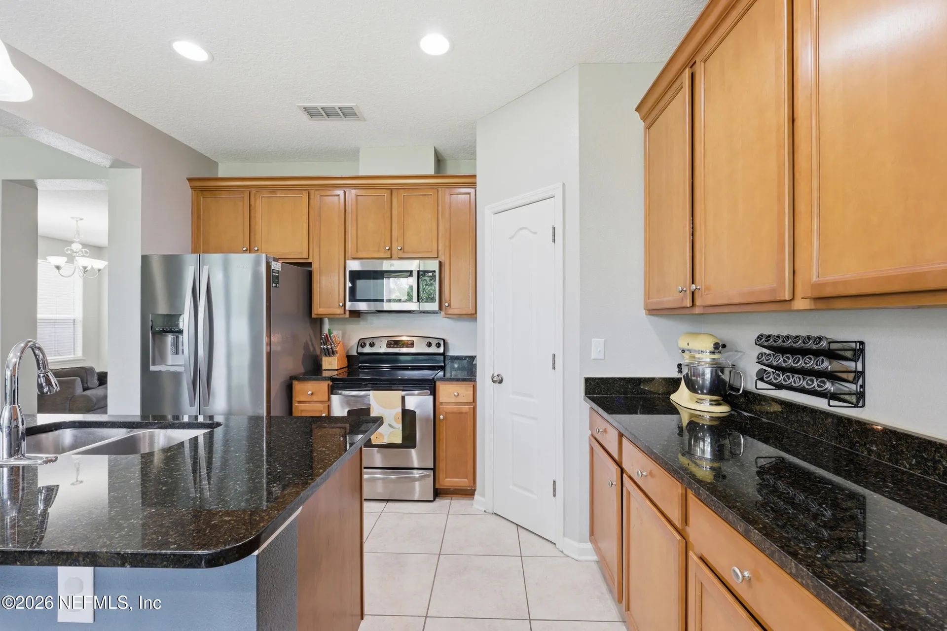 732 Briar View Drive Orange Park FL 32065