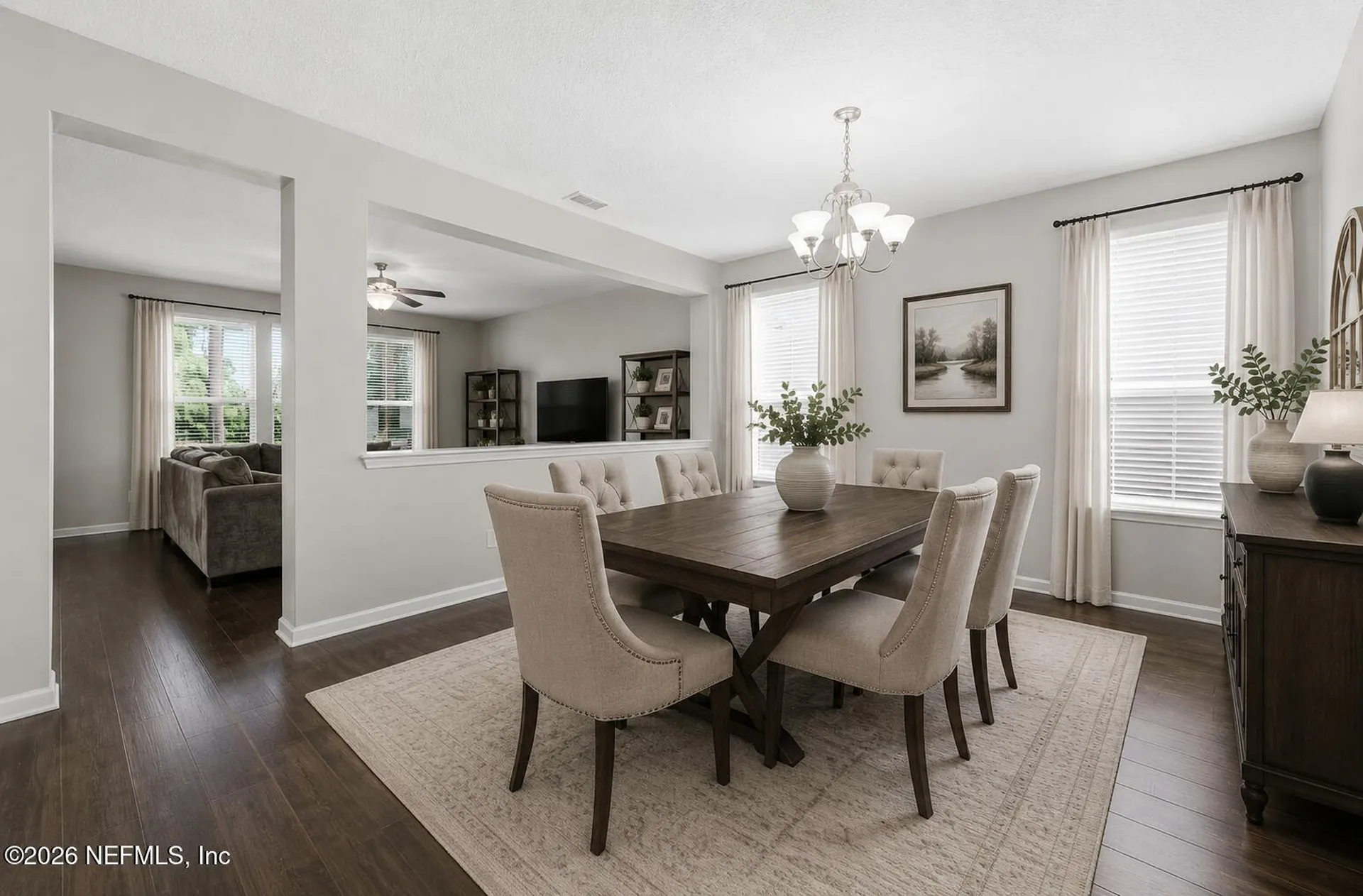 732 Briar View Drive Orange Park FL 32065