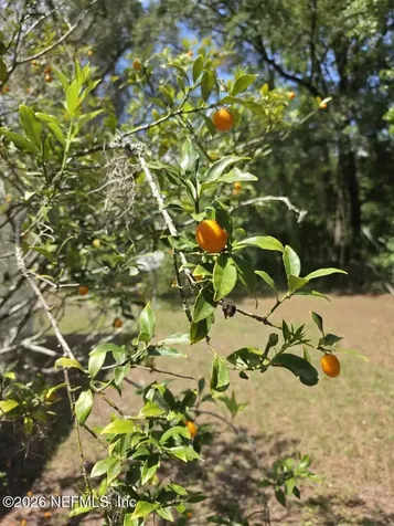 2756 Copper Court Middleburg FL 32068