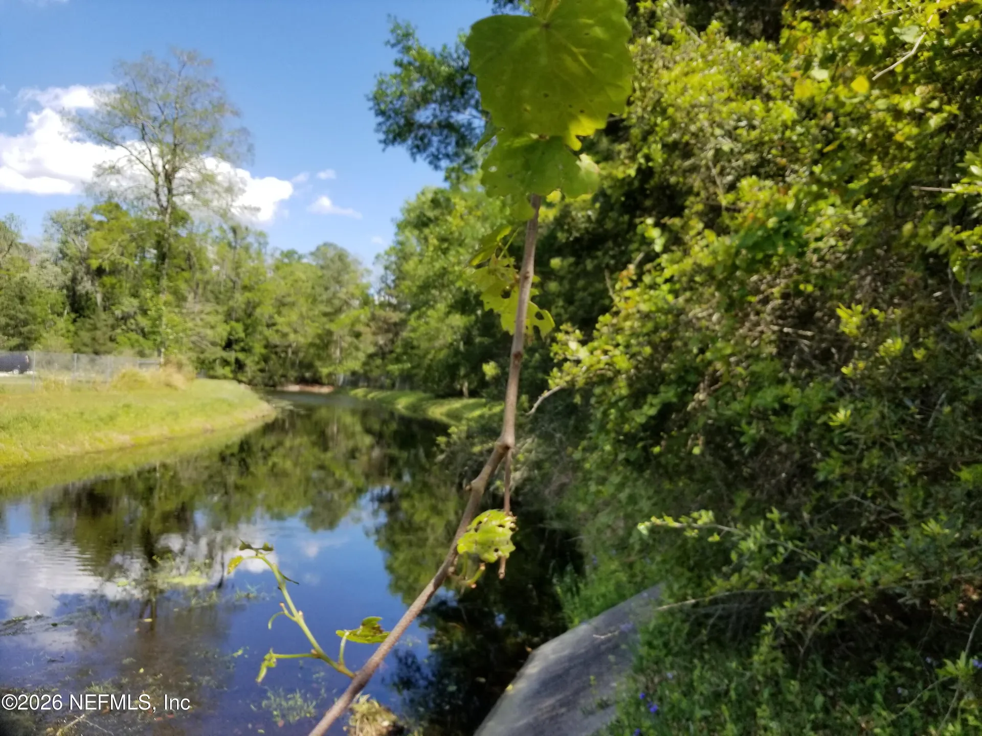 7440 Secret Wood Trail Jacksonville FL 32216