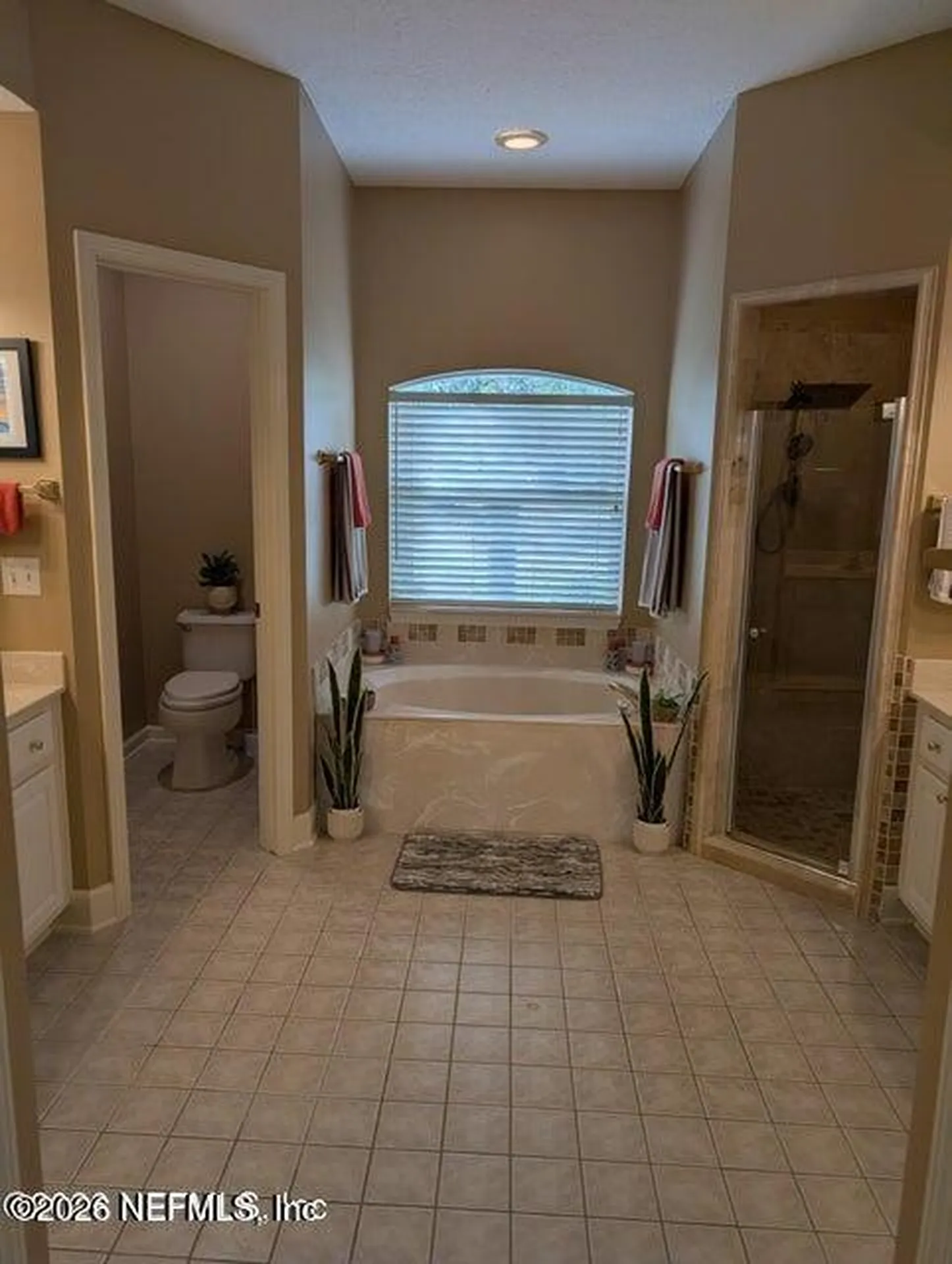 1730 Walton Lake Court Fleming Island FL 32003