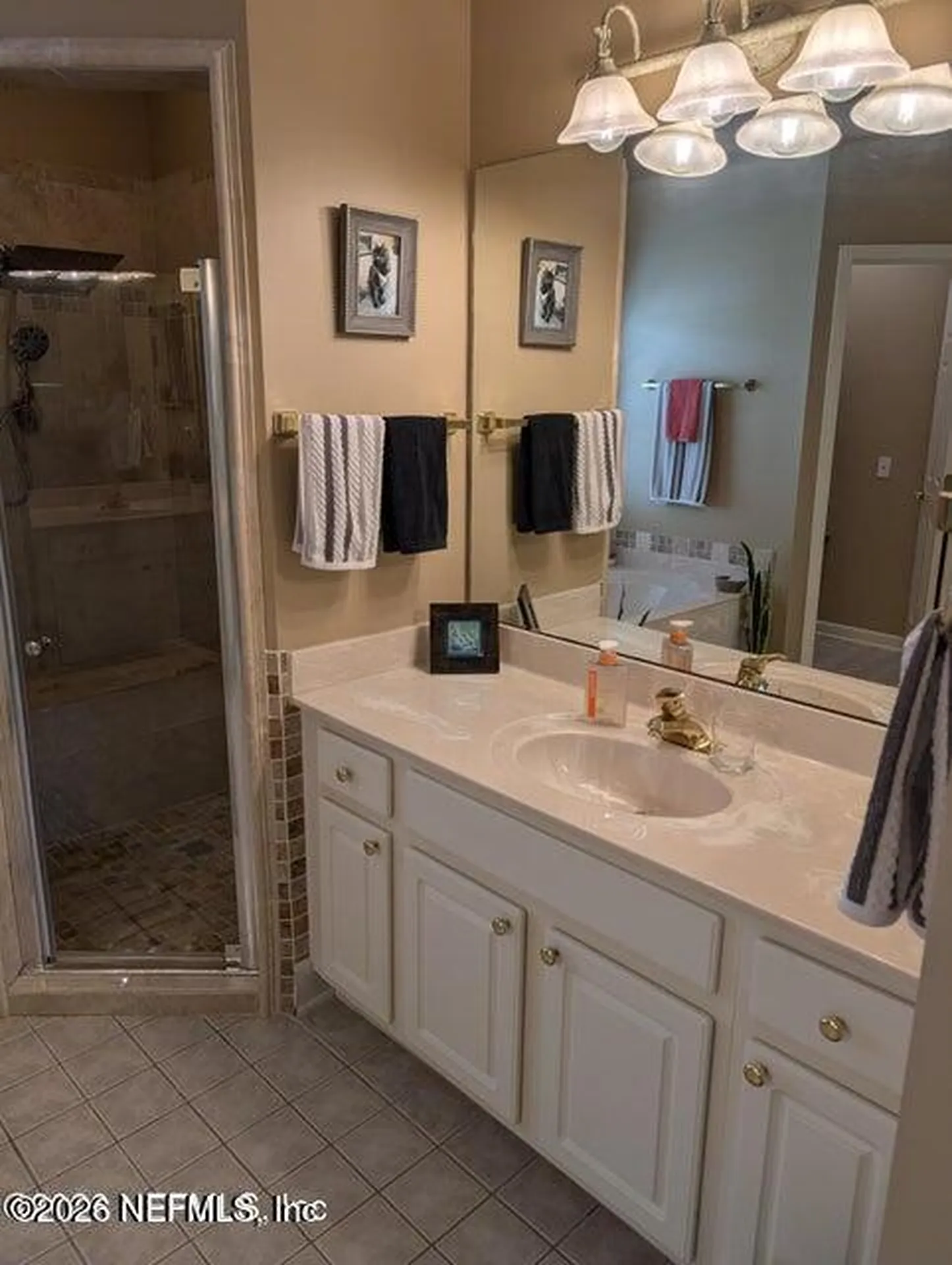 1730 Walton Lake Court Fleming Island FL 32003