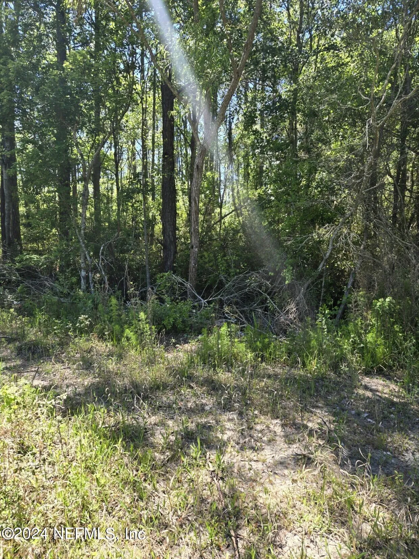 0 SE 47th Avenue Starke FL 32091