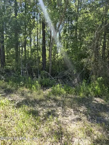 0 SE 47th Avenue Starke FL 32091