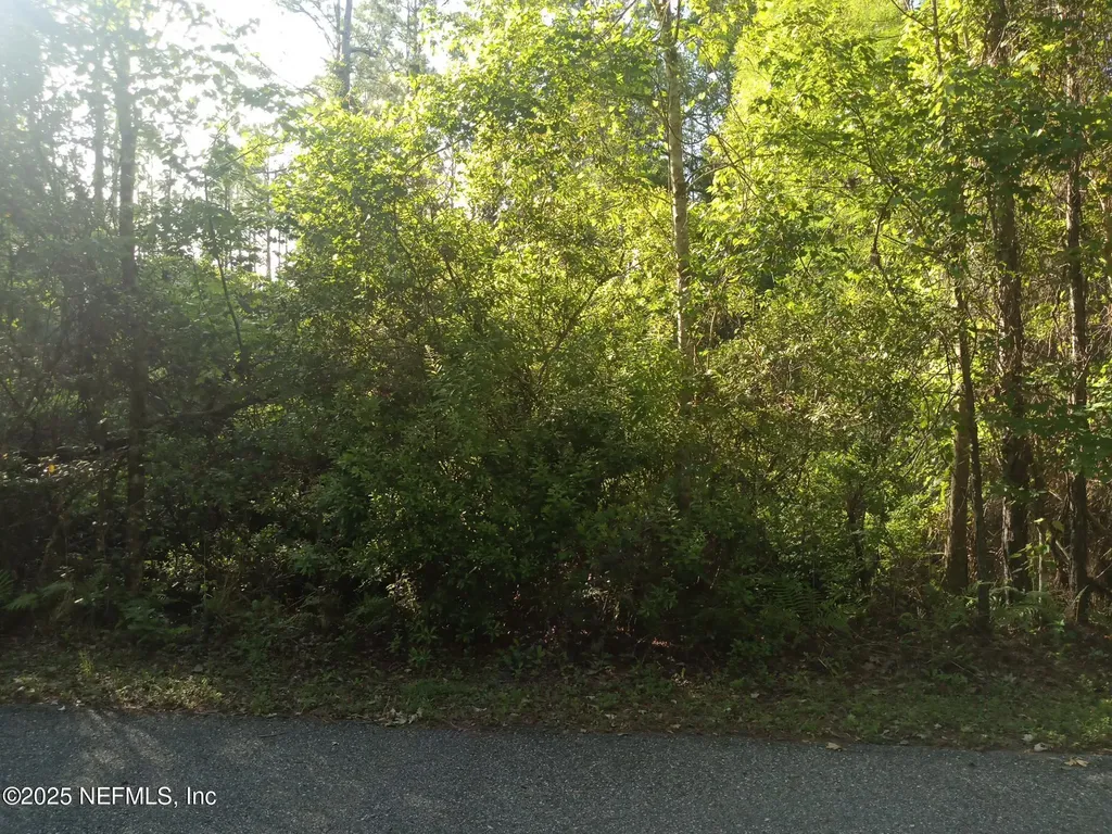 0 Railroad Avenue Elkton FL 32033