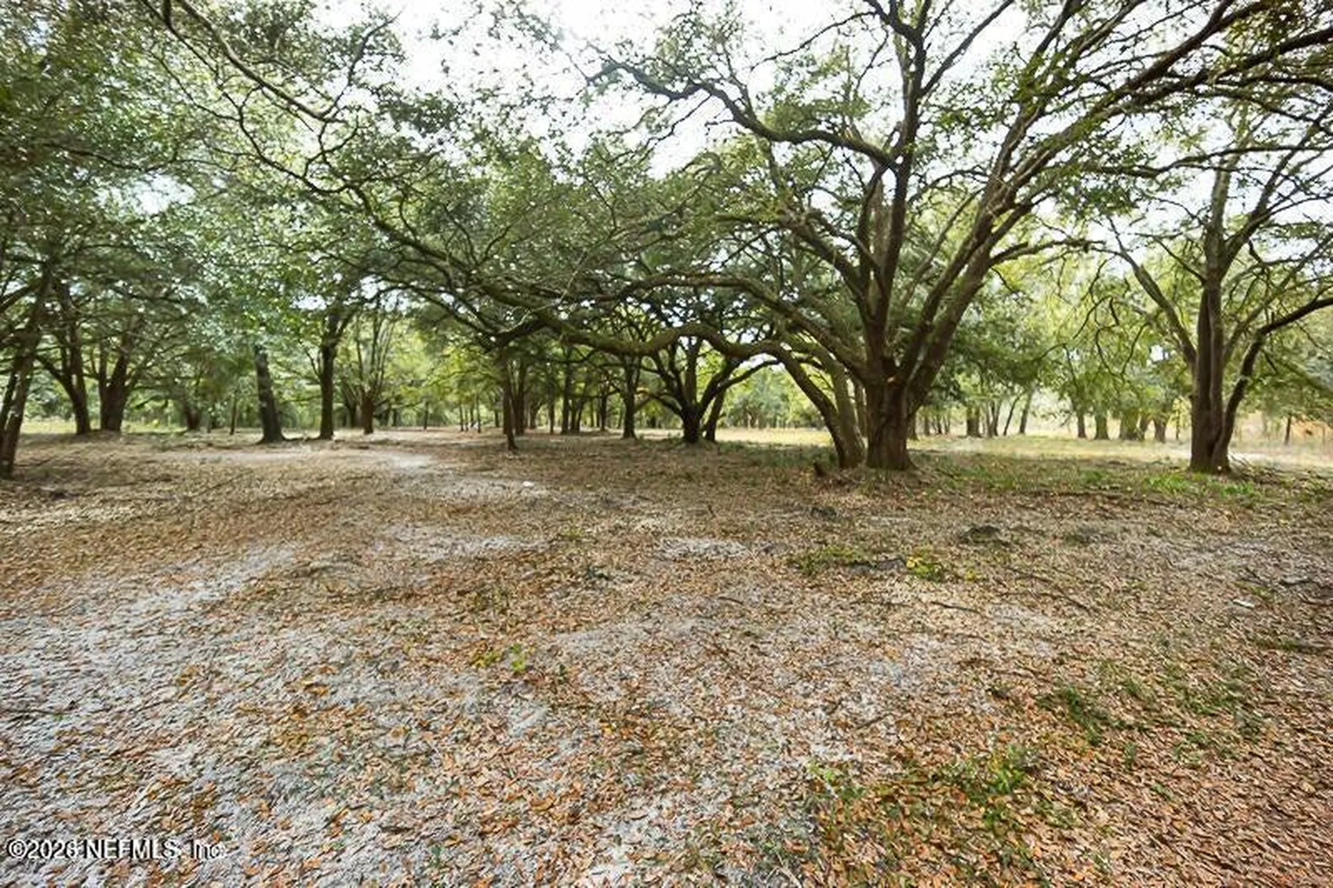 5200 Morse Avenue Jacksonville FL 32244